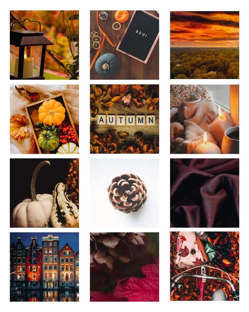 moodboard qui représente l'automne